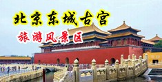 隔壁美女好湿好爽快操中国北京-东城古宫旅游风景区